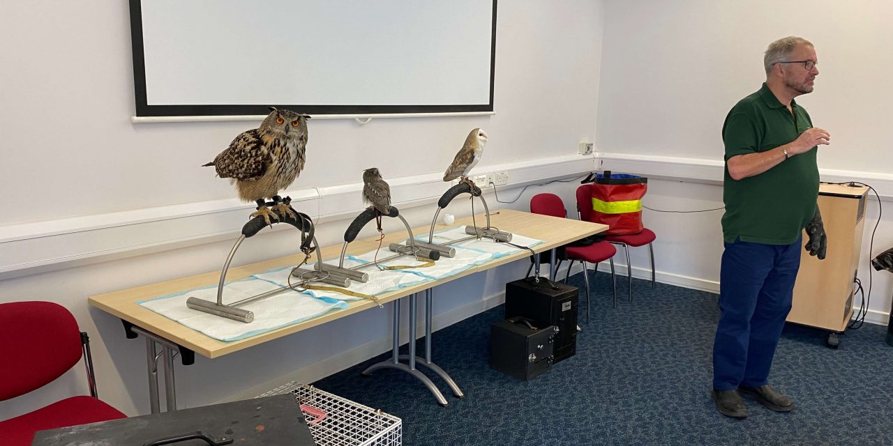 May 19th 2026 – JOHN the OWL MAN