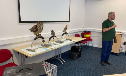 May 19th 2026 – JOHN the OWL MAN